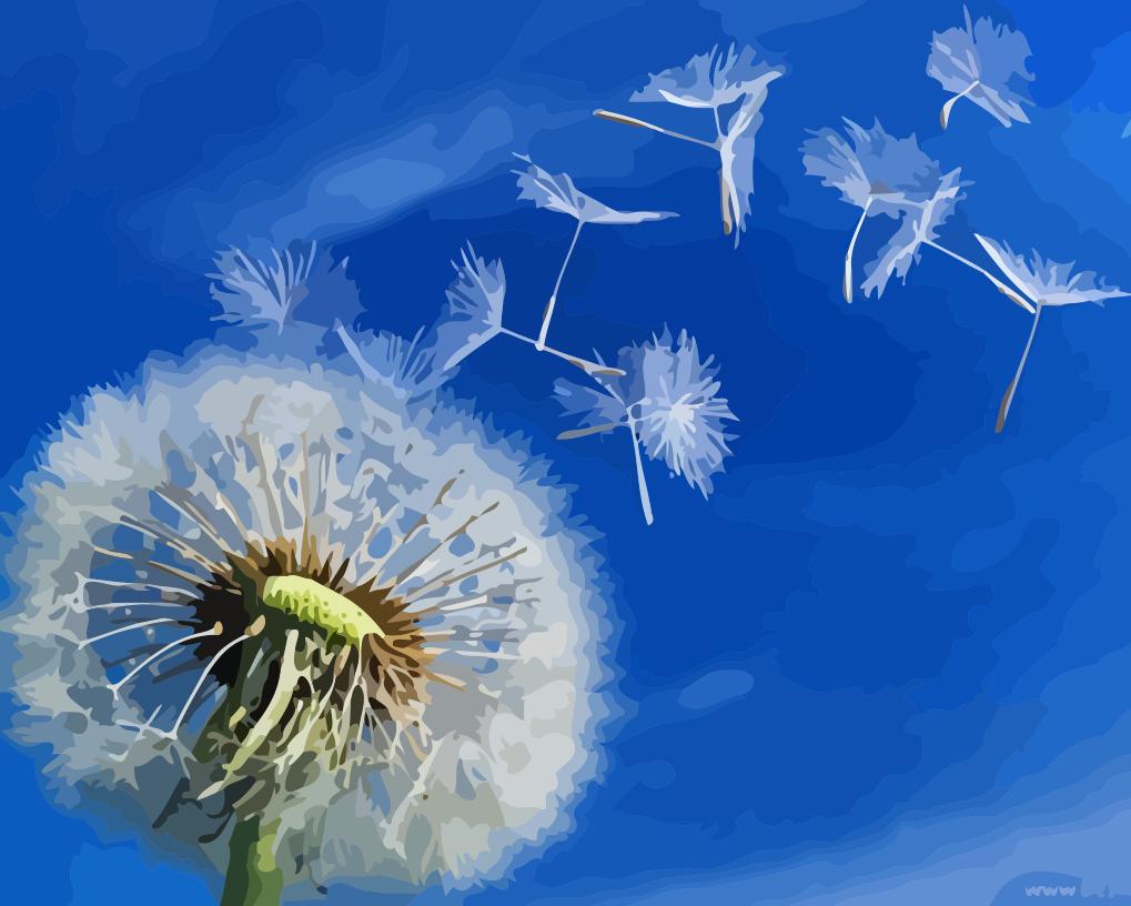Dandelion Seed Paint By Numbers