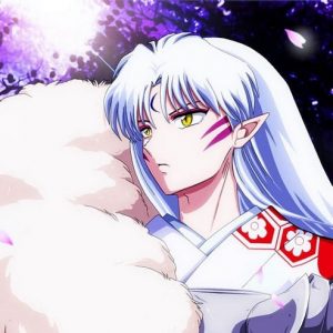 Sesshomaru Inuyasha Paint By Numbers