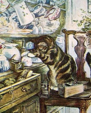 Simpkin Cat Animals Paint By Numbers