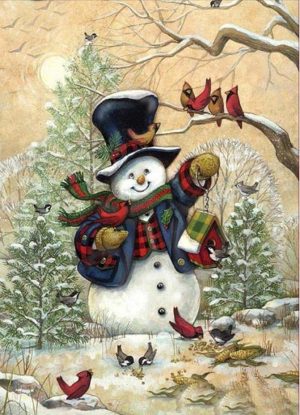 Snowman And Cardinals Paint By Numbers