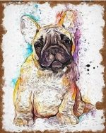 French Bulldog Paint By Numbers