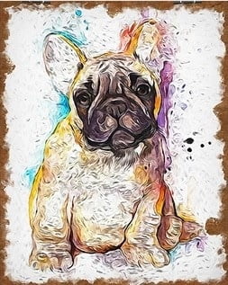 French Bulldog Paint By Numbers