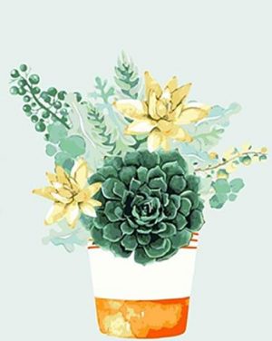 Succulent Plant Pot Paint By Numbers