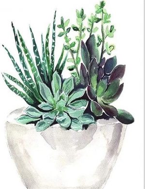 Succulent Pot Paint By Numbers
