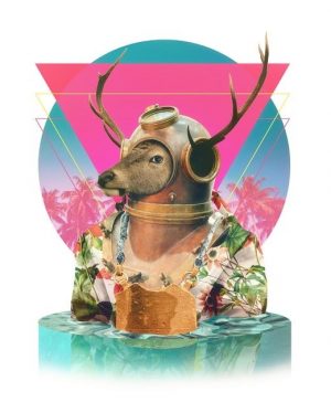 Summer Deer Animals Paint By Numbers