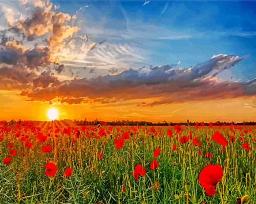 sunset poppy field paint by numbers