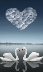 Swan Love Paint By Numbers