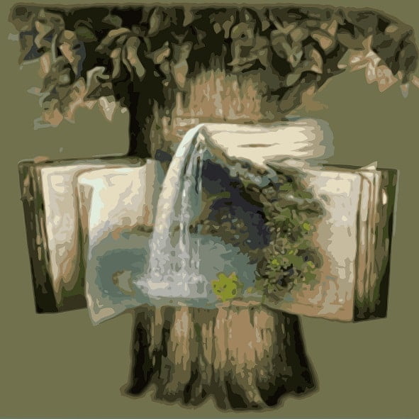 Tree Book Paint By Numbers