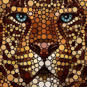 Circles Tiger Face Paint By Numbers