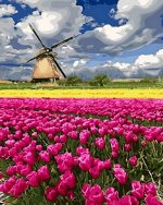 Windmill In Tulip Field Paint By Numbers
