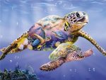 Underwater Sea Turtle Animals Paint By Numbers