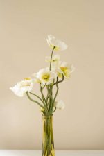 Daffodil Vase Paint By Numbers