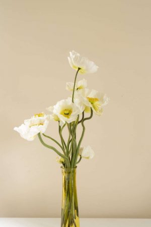 Daffodil Vase Paint By Numbers