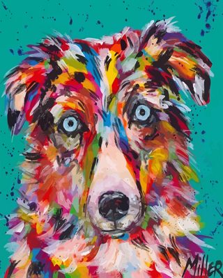 Aussie Dog Paint By Numbers