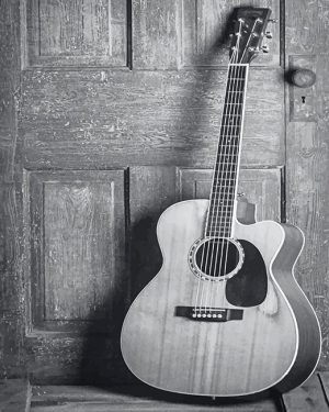 Black And white Guitar Paint By Numbers