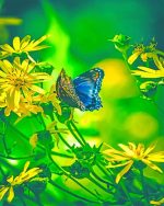 Butterfly On Flowers Paint By Numbers
