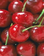 Sweet Cherries Paint By Numbers