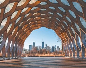 Lincoln Park Chicago Paint By Numbers