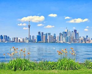 Toronto Canada Paint By Numbers