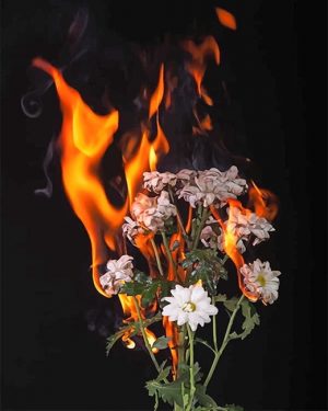 Burning Flowers Paint By Numbers