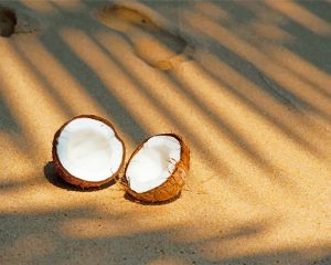 Coco Fruit Paint By Numbers