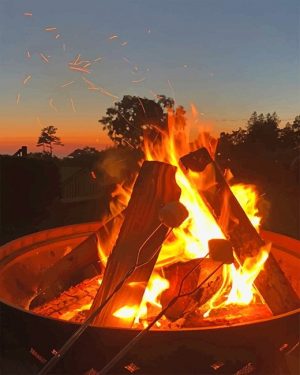 Wood Fire Paint By Numbers