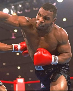 Mike Tyson Paint By Numbers