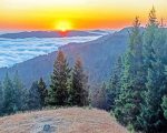 Mount Tamalpais State Park Paint By Numbers
