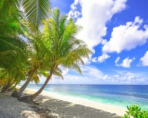 Tropical Beach Paint By Numbers