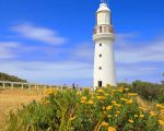 Cape Otway Lightstation Paint By Numbers