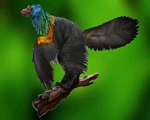 Chinese Caihong Juji Paint By Numbers