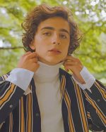 Classy Timothee Chalamet Paint By Numbers