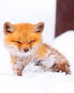 Fox In Snow Paint By Numbers