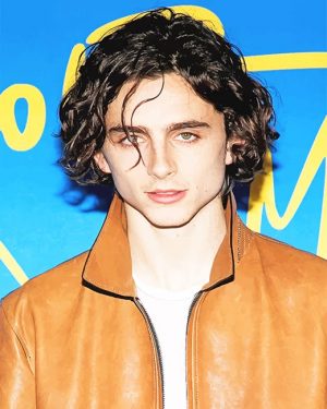 Cute Timothee Paint By Numbers