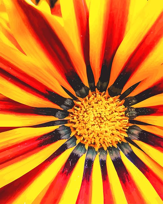 Gazania Big Kiss Yellow Paint By Numbers