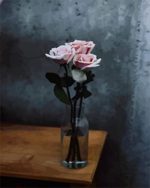 Baby Pink Roses Paint By Numbers