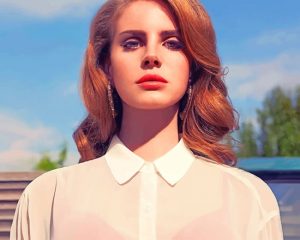 Lana Del Rey Born To Die NEW Paint By Numbers