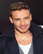 Liam Payne of One Direction NEW Paint By Numbers