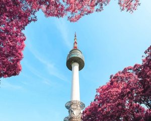 N Seoul Tower Paint By Numbers