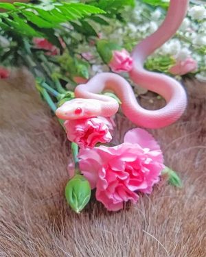 Pink Snake With Flowers Paint By Numbers