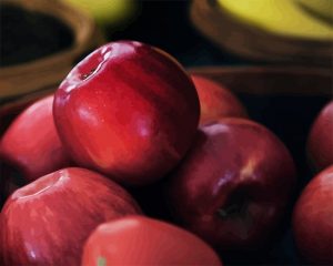 Red Apples NEW Paint By Numbers