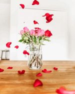 Red Pink Roses Paint By Numbers