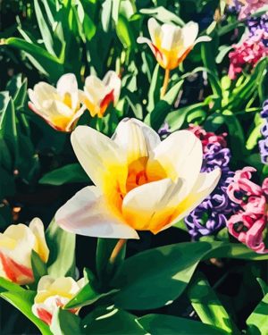 Snow Crocus Paint By Numbers