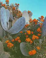 Cactus Plants Paint By Numbers