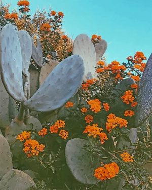Cactus Plants Paint By Numbers