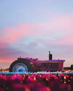 Pink Tractor Paint By Numbers