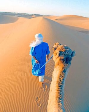 Arabian Desert Paint By Numbers