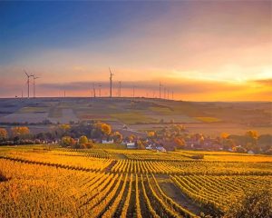 Sunrise Farm Paint By Numbers