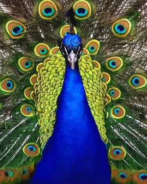 Blue Peacock Bird Paint By Numbers