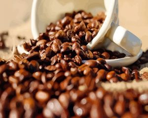 Coffee Beans Paint By Numbers